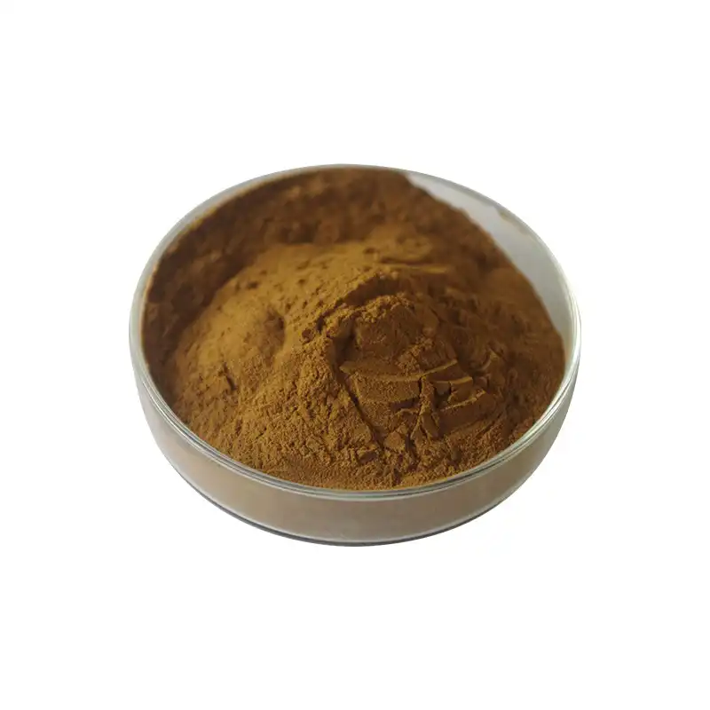Chicory Extract Powder Bulk for Prebiotic Applications